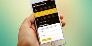 Otvorenje Griffon vulture